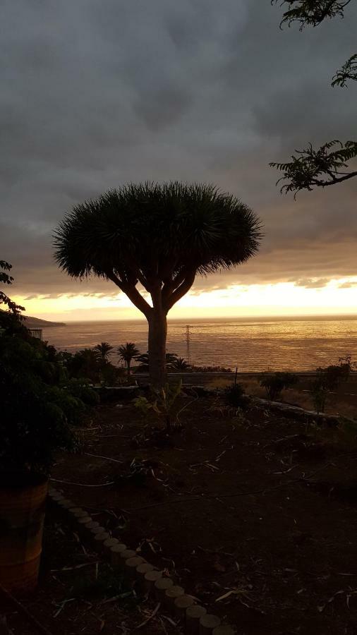 Ferienwohnung Casabuelo Breña Baja Exterior foto